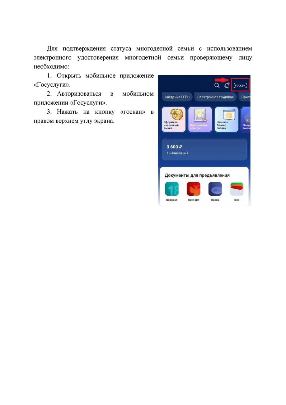 -b640nelda038pp8o-009